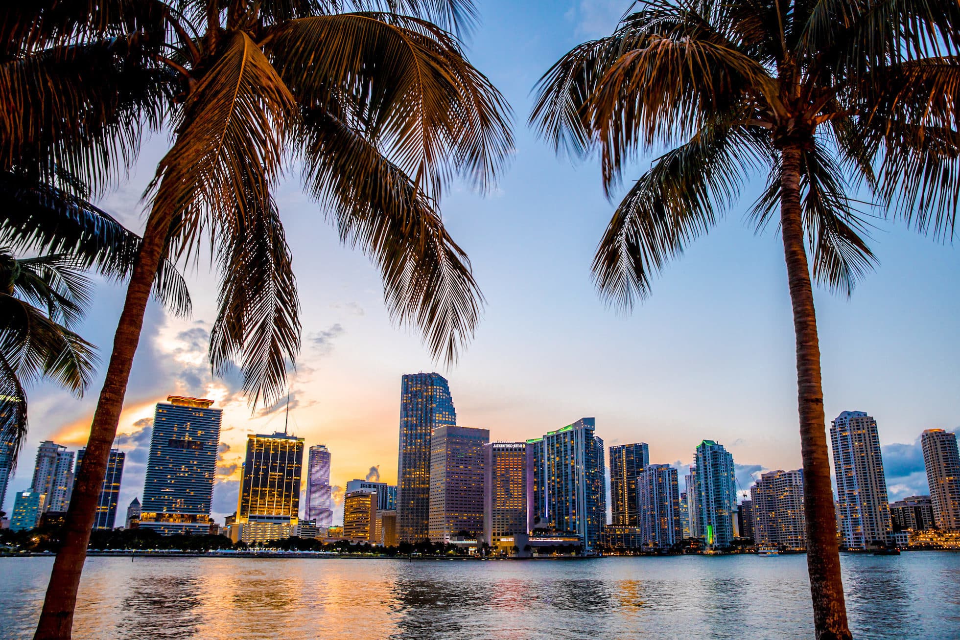 Miami Skyline